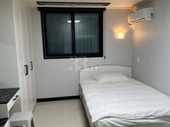 Harvard 303 (New Special Price) 0th image