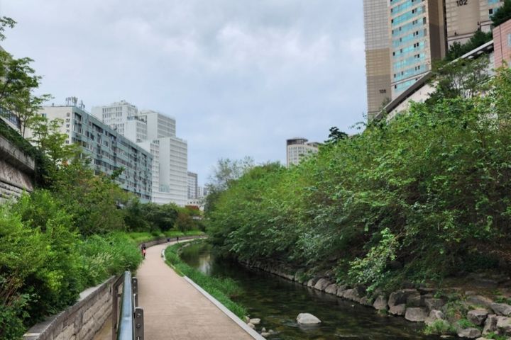 동묘앞역 상큼하우스 11번째 이미지