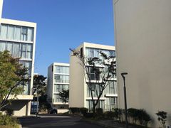 서귀포 한달살기 특가L 11번째 이미지