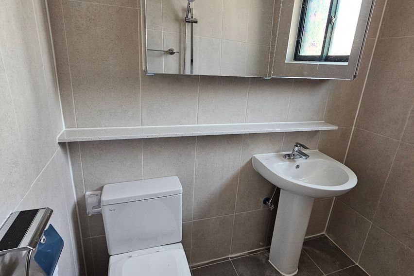 반려동물좋아요.