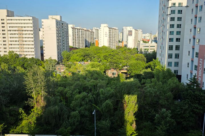 오드원 800B3 12번째 이미지