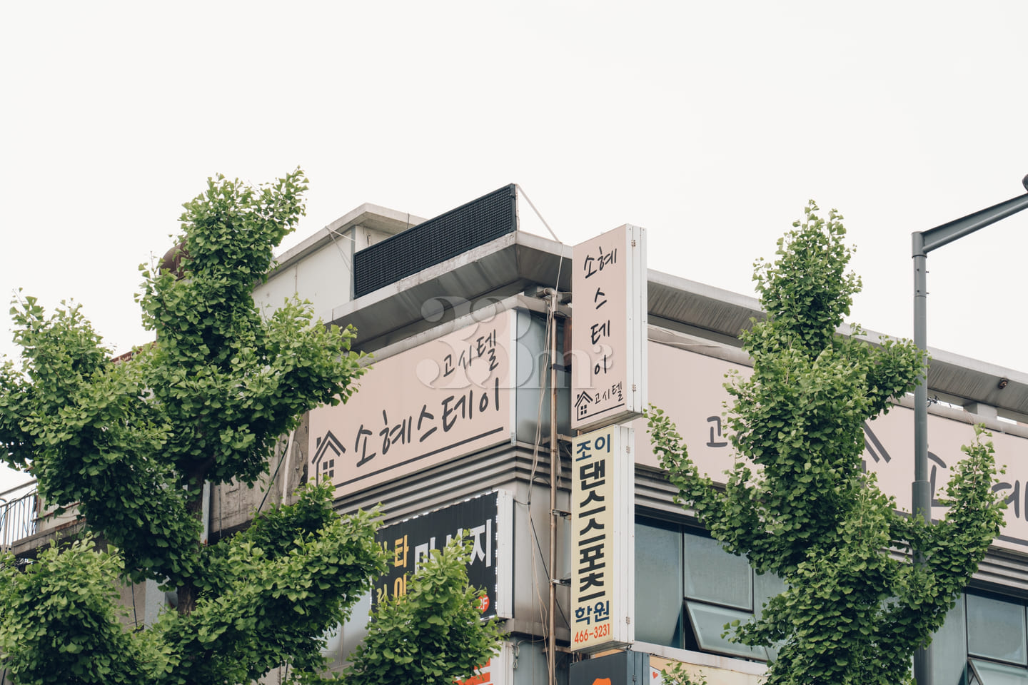 Suyu Station's Newest Remodeled Mini Room 4th image