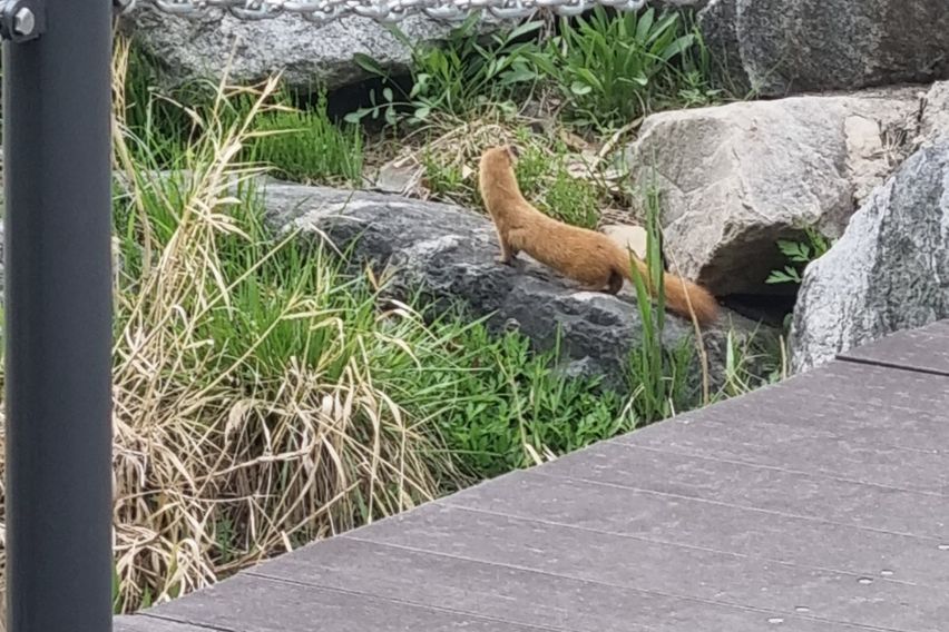 카이스트 대전출장 여행 7번째 이미지