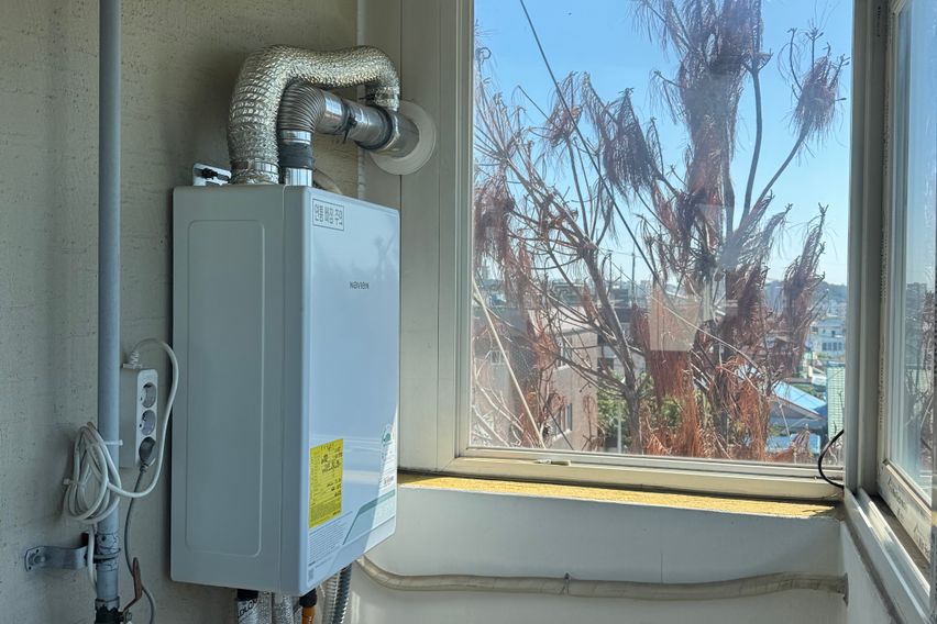 옐로우 하우스 12번째 이미지