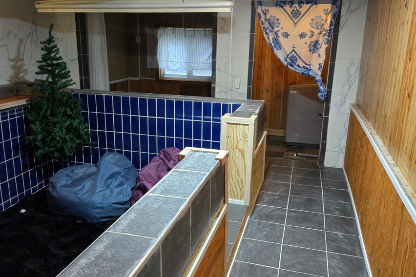 #5 12번째 이미지