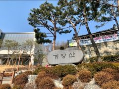 넓은마당 단독 전철5분 17번째 이미지