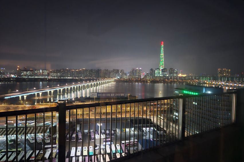 한강뷰 with 고양이