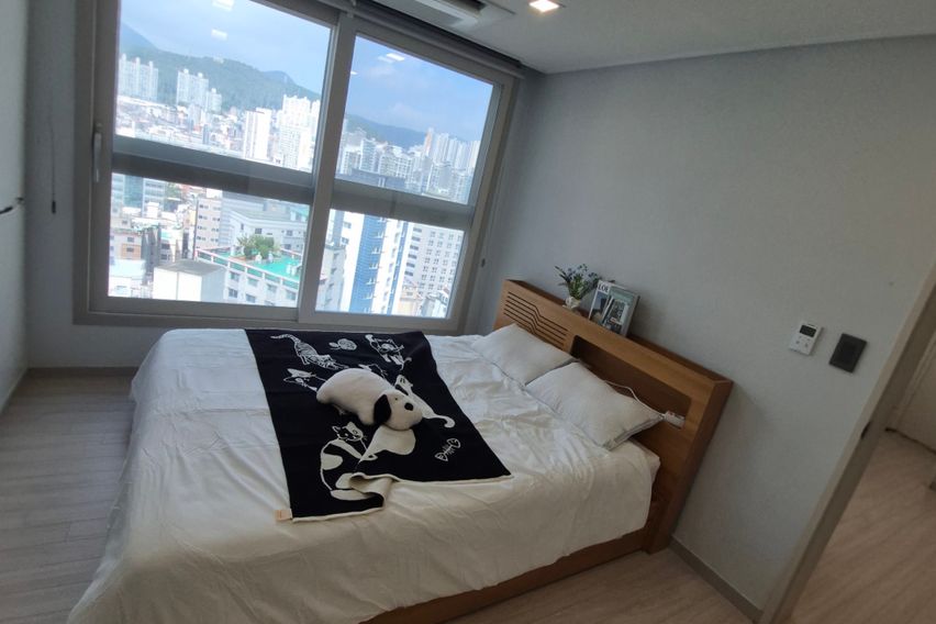 부산시청 코지하우스2