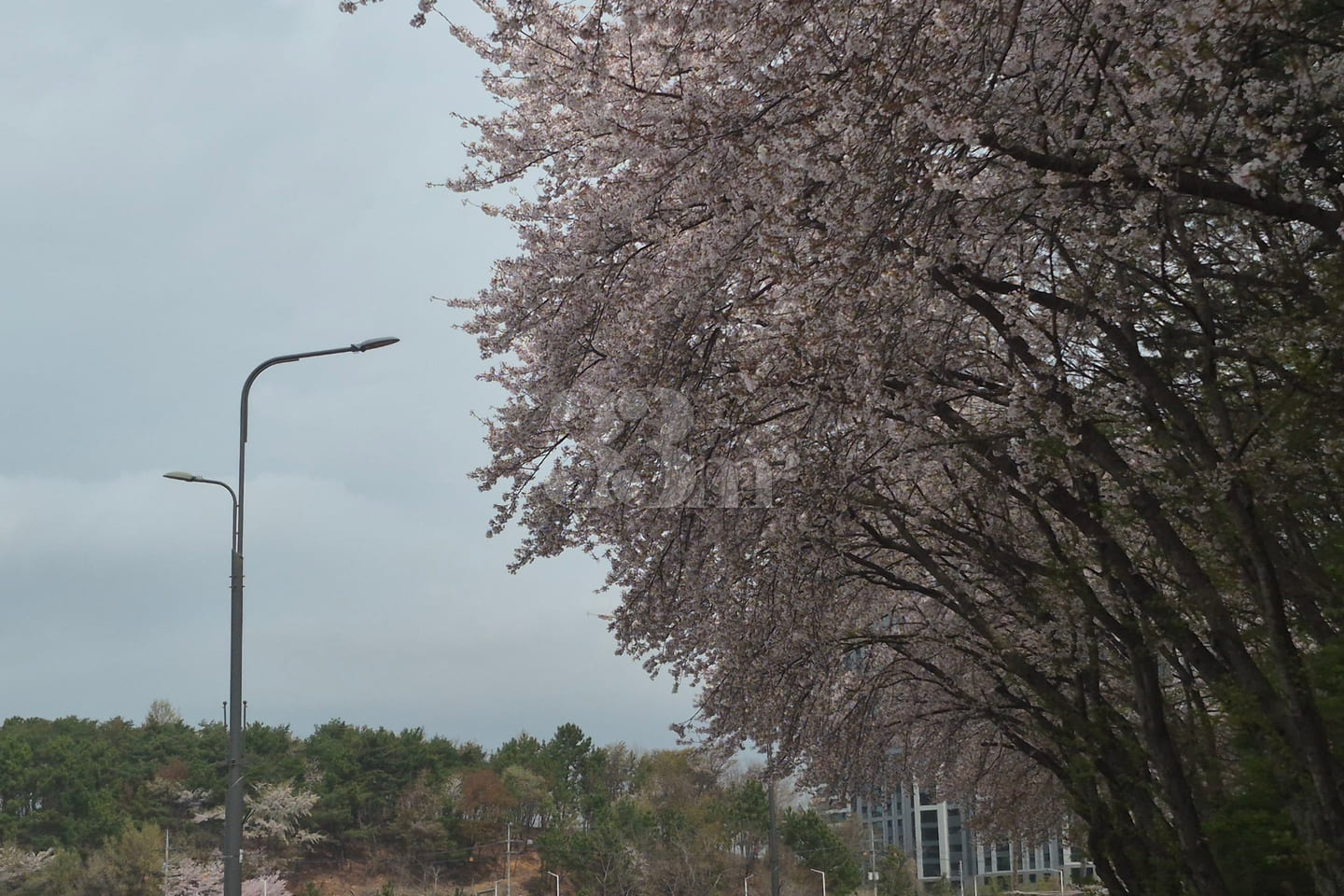 Business Trip to Sacheon City for Aerospace 15th image
