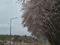 Sacheon short-term rental for business trips 15th image