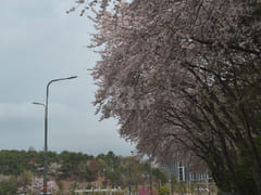 Business Trip to Sacheon City for Aerospace 15th image