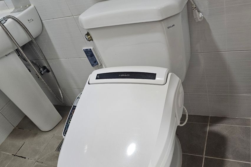 레몬밤 1번째 이미지