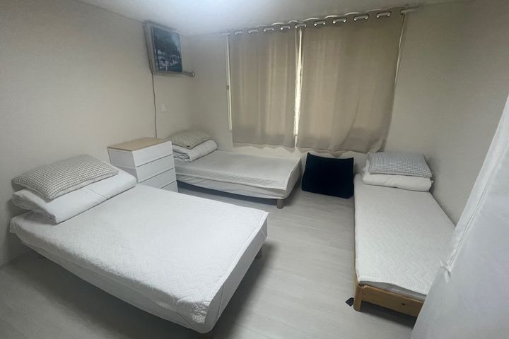 강릉역도보7분 멍냥환영 2번째 이미지