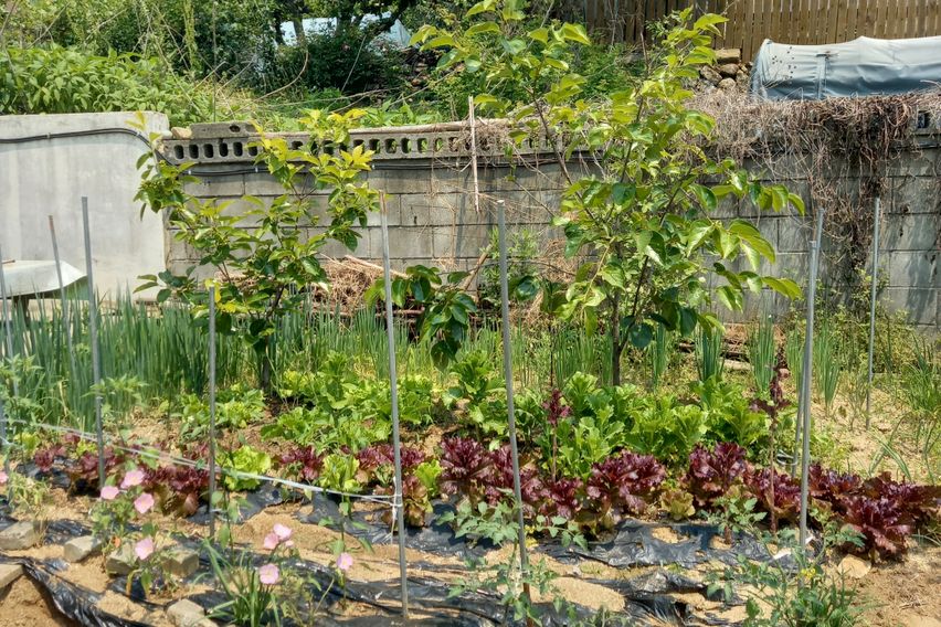 전주 모악산 단독주택