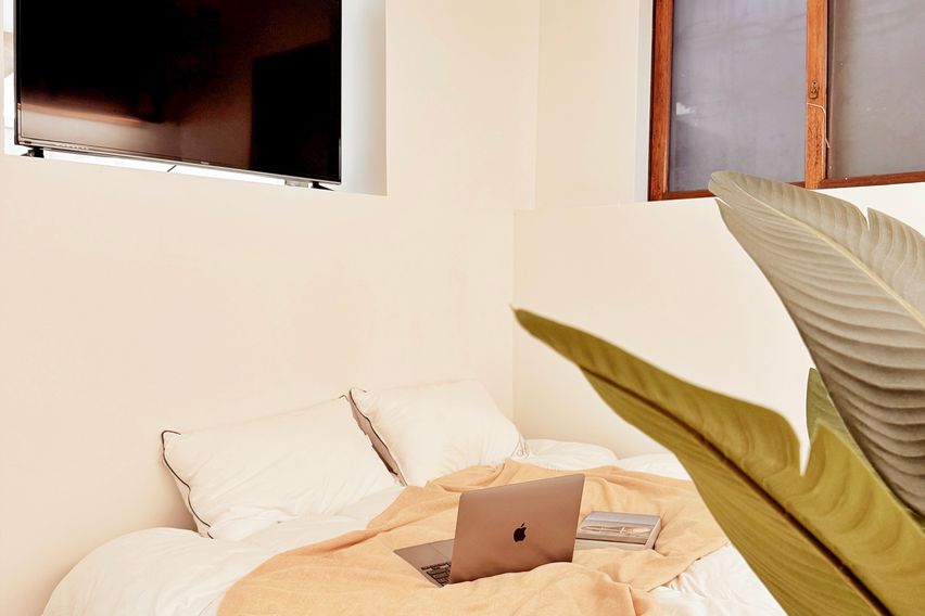 그린앤브라운 10번째 이미지