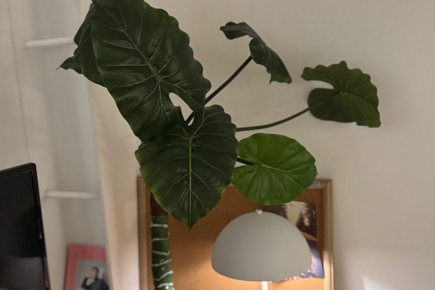 서울역남산명동복층원룸