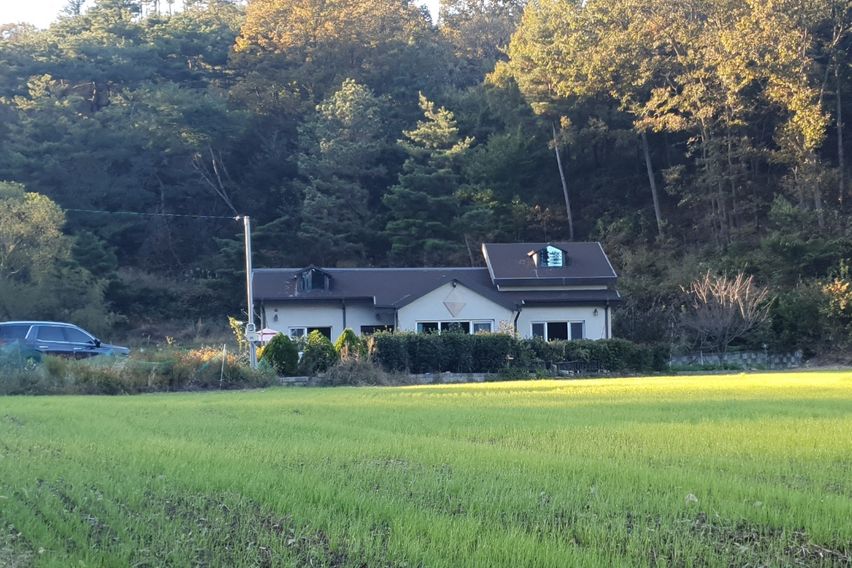 한적한 시골 편백나무집 1번째 이미지