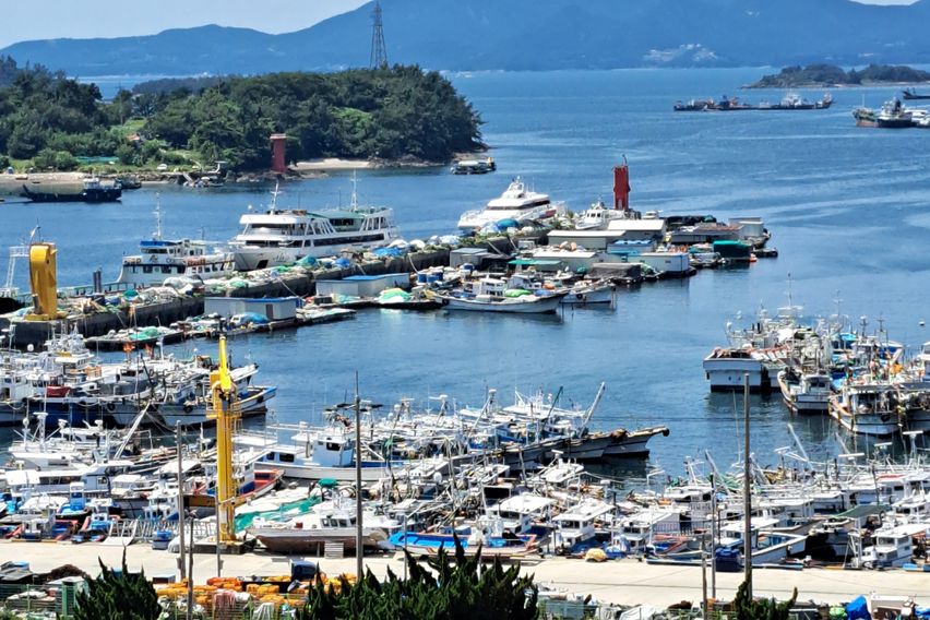 국동 생활형숙박시설