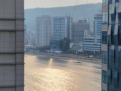 광안리 해링오더  1번째 이미지