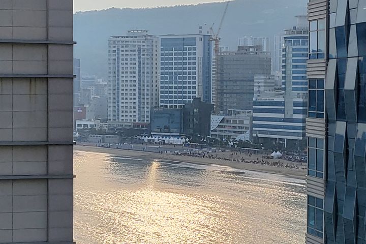 광안리 해링오더  1번째 이미지