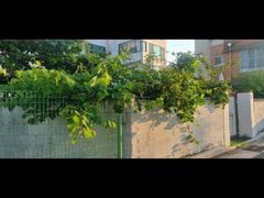 일광정원 12번째 이미지