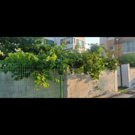 일광정원 12번째 이미지