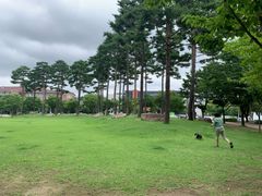 대구 수성구 편안한주택 12번째 이미지