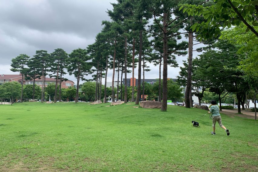 Comfortable home in Suseong-gu, Daegu 12th image