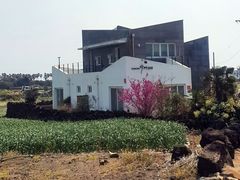 산방산  돌담_해무리 15번째 이미지
