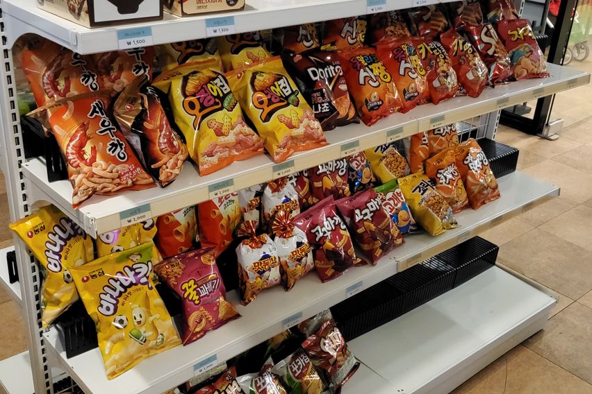 애월.애견천국1.5룸 13번째 이미지