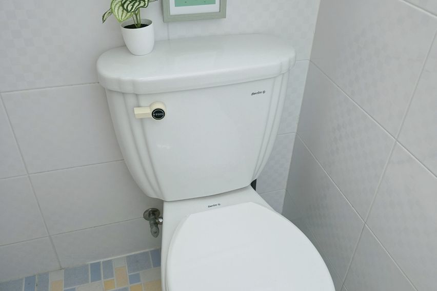 🌷서울대입구역3분☘️