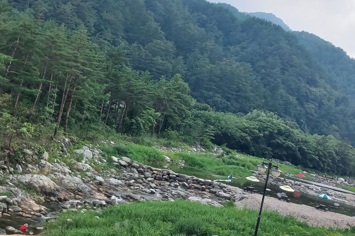 오대산포레스트베롱스테이 5번째 이미지