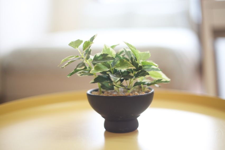 안국역연결분리형오피스텔