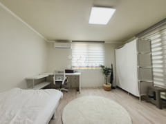 31 Premium 2 12th image