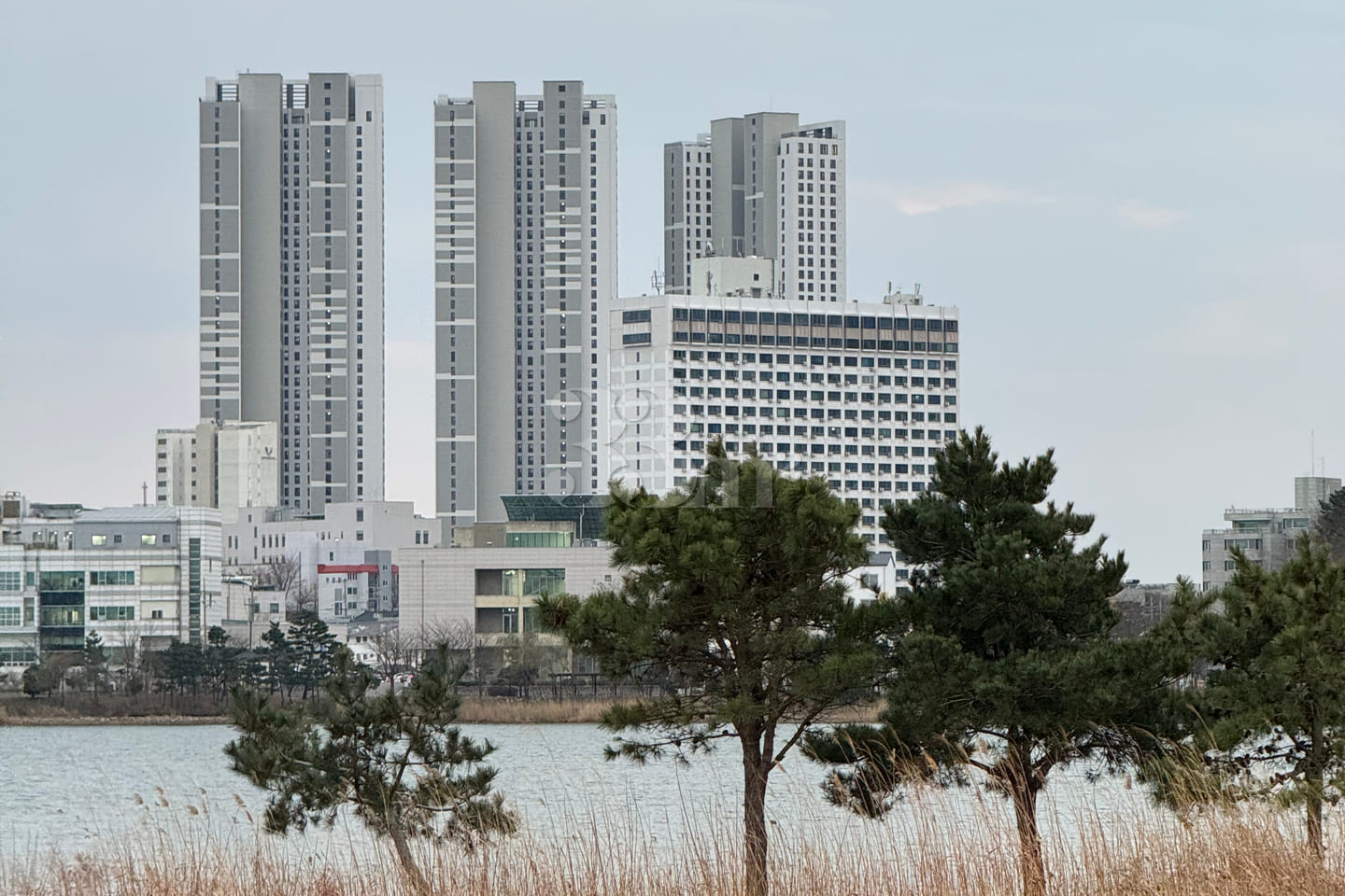 Sokcho Studio Apartment with Ocean View and F 19th image