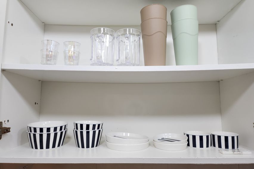 포레스트 in 임학 9번째 이미지