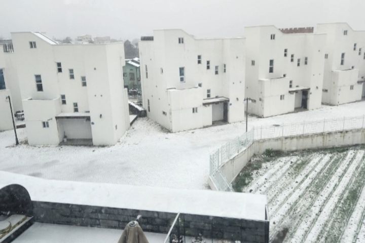 해안동 펠롱 하우스 13번째 이미지