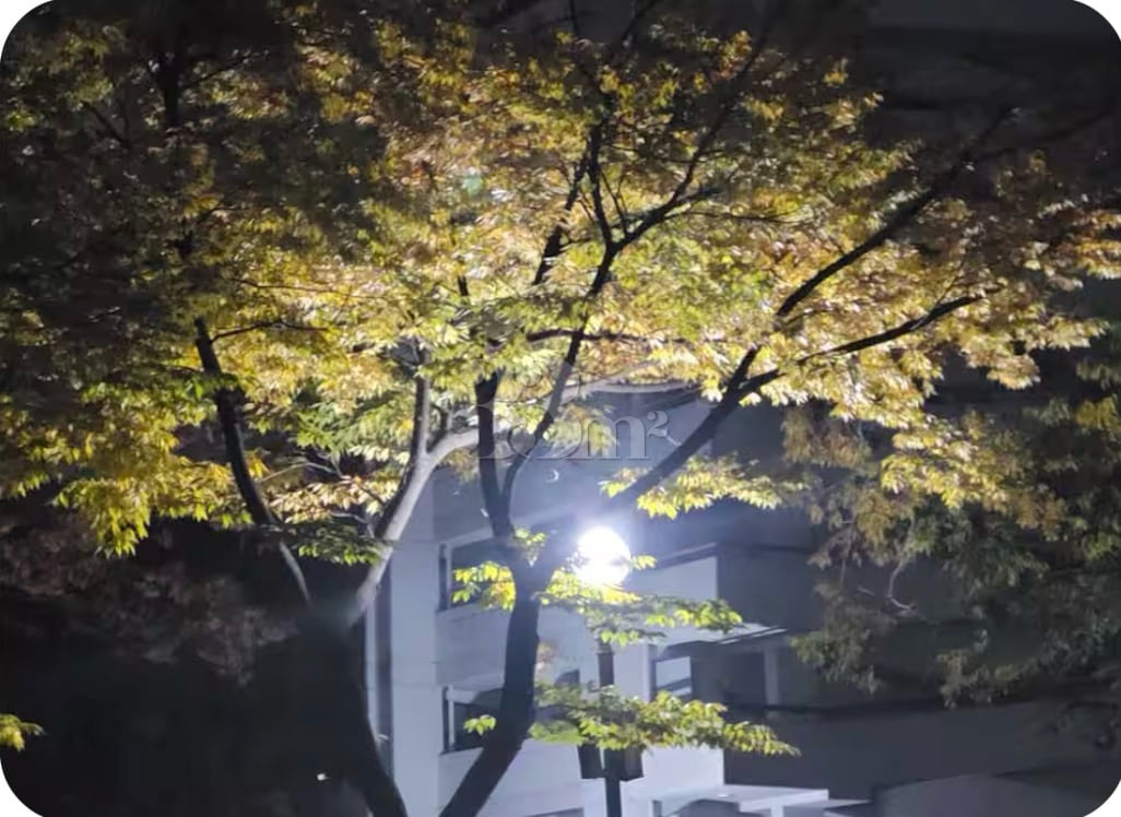 Songpa-gu Apartment Nestled in a Park 19th image