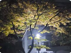 공원 품은 송파구APT 19번째 이미지