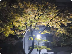Songpa-gu Apartment Nestled in a Park 19th image