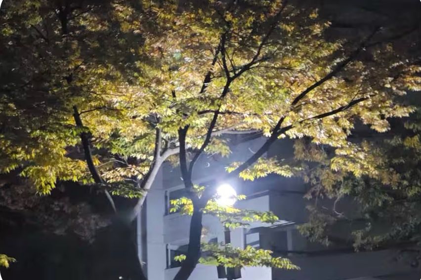 공원 품은 송파구APT 19번째 이미지