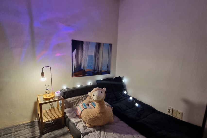 용호수공원.관공서.풀옵