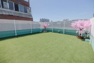 Seongsu-dong's trendy accommodation 🌸