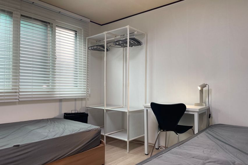 #53 안암/제기 4인