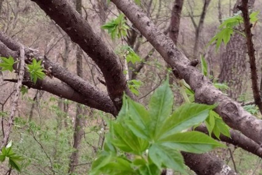 성주:쉼이있는 전원주택 13번째 이미지
