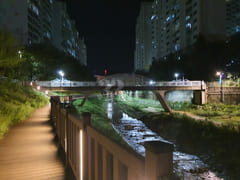 River House (Semi-basement) 17th image
