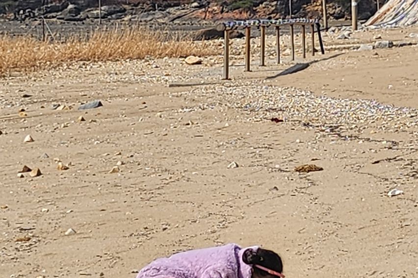 강화.  펜션. 안드로