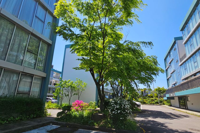 통창유리 트원침대T6