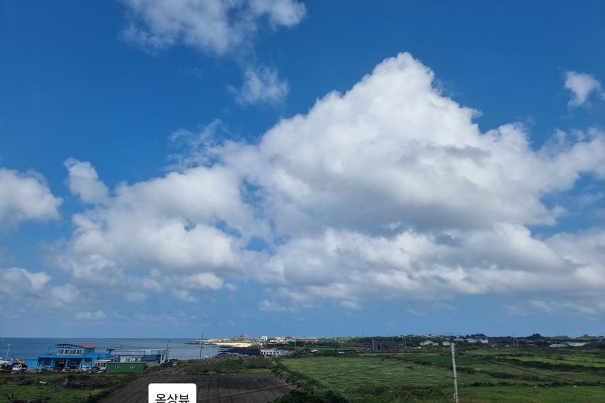 Udo Island, more special than Jeju 12th image