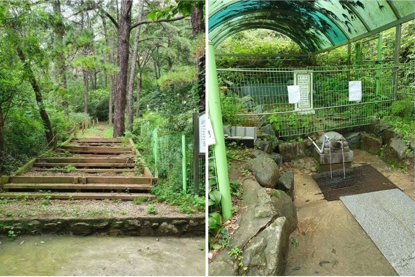 파주 연풍리 꽃동303 10번째 이미지